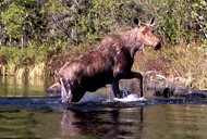 fishing lodge fishing lodge