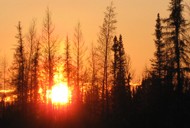 canada fishing trips