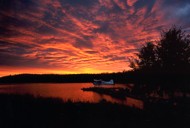 canadian fly in fishing trips